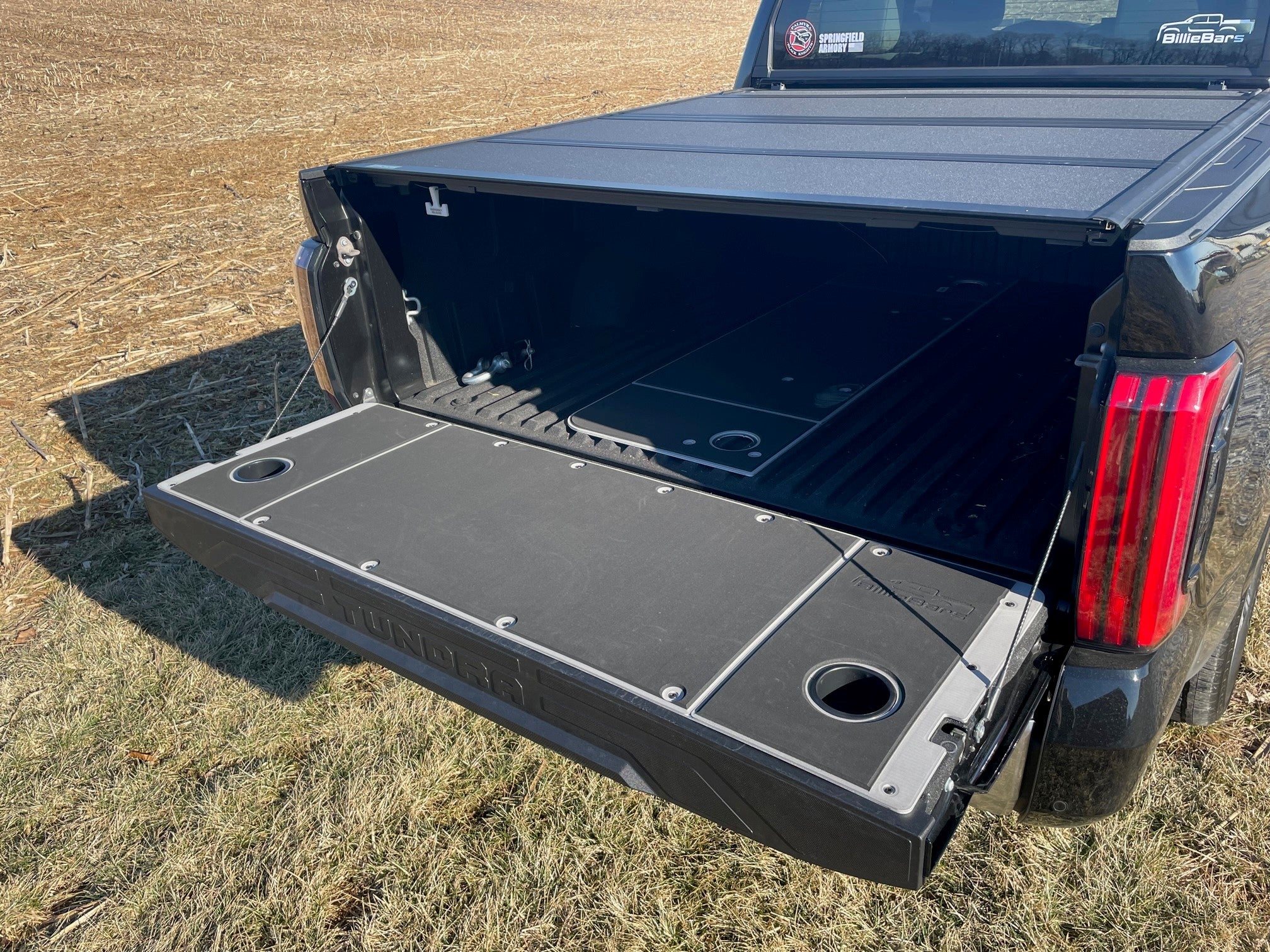 Tundra tailgate cover