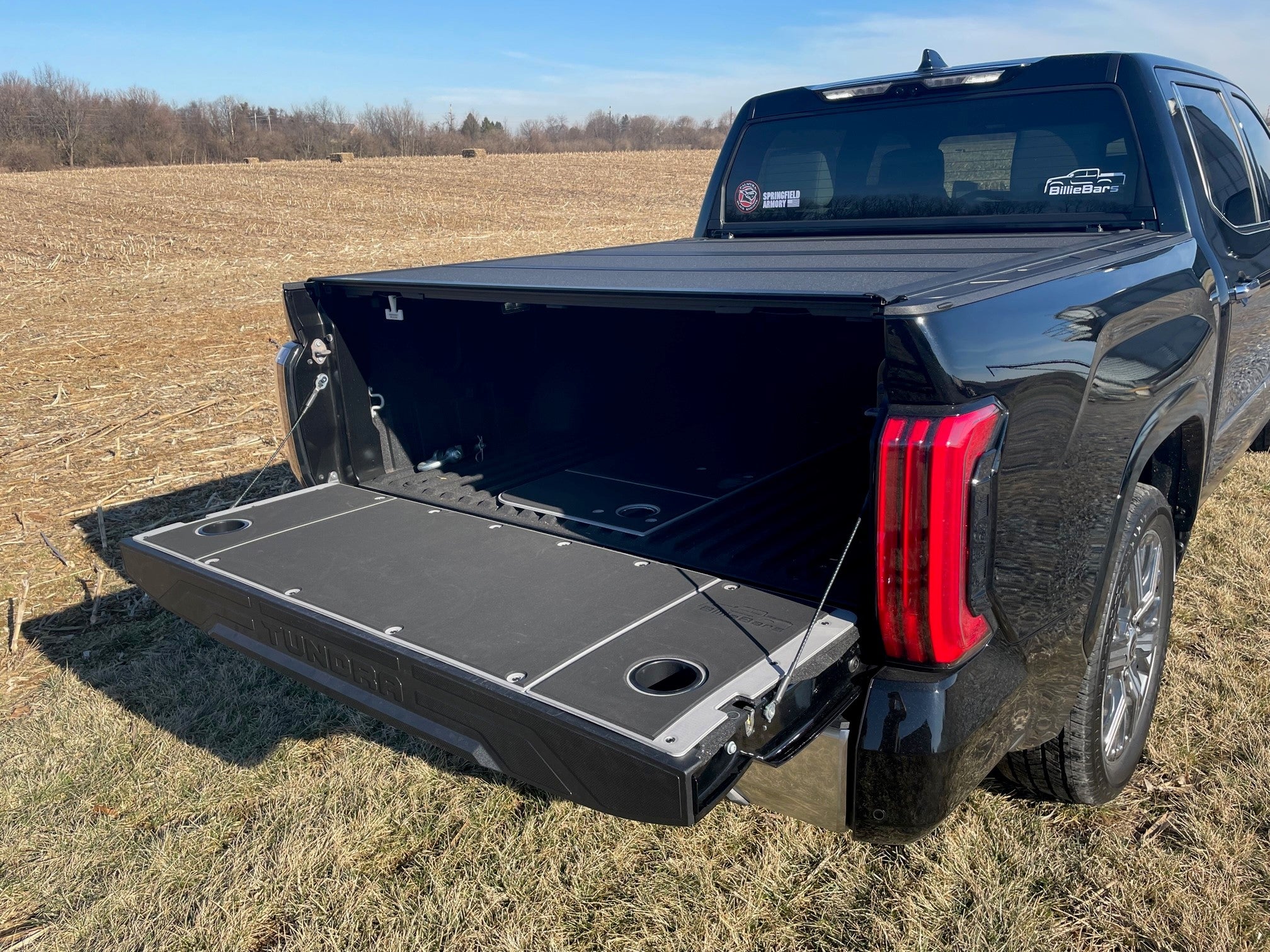 Tundra tailgate cover