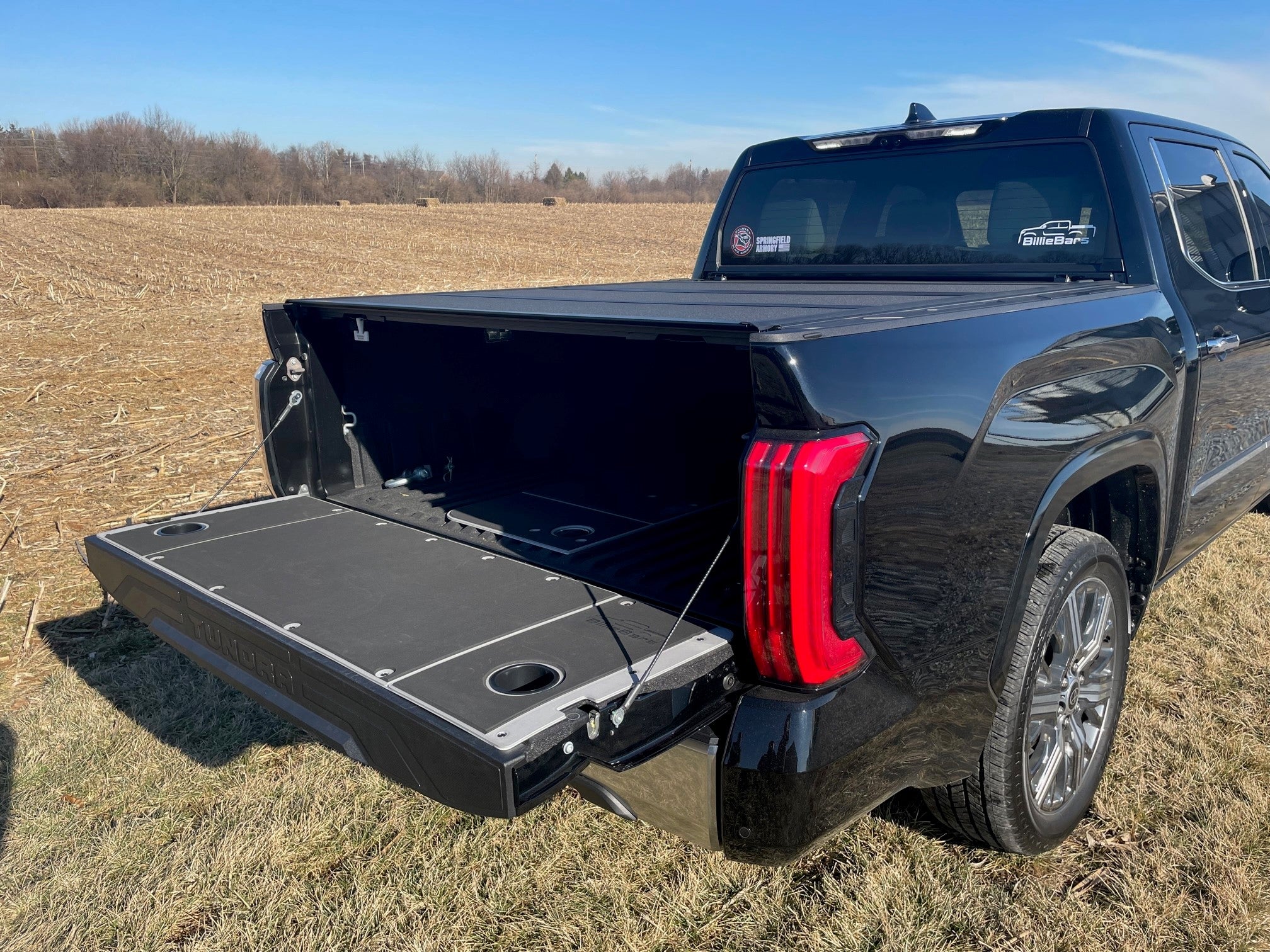 Tundra tailgate cover