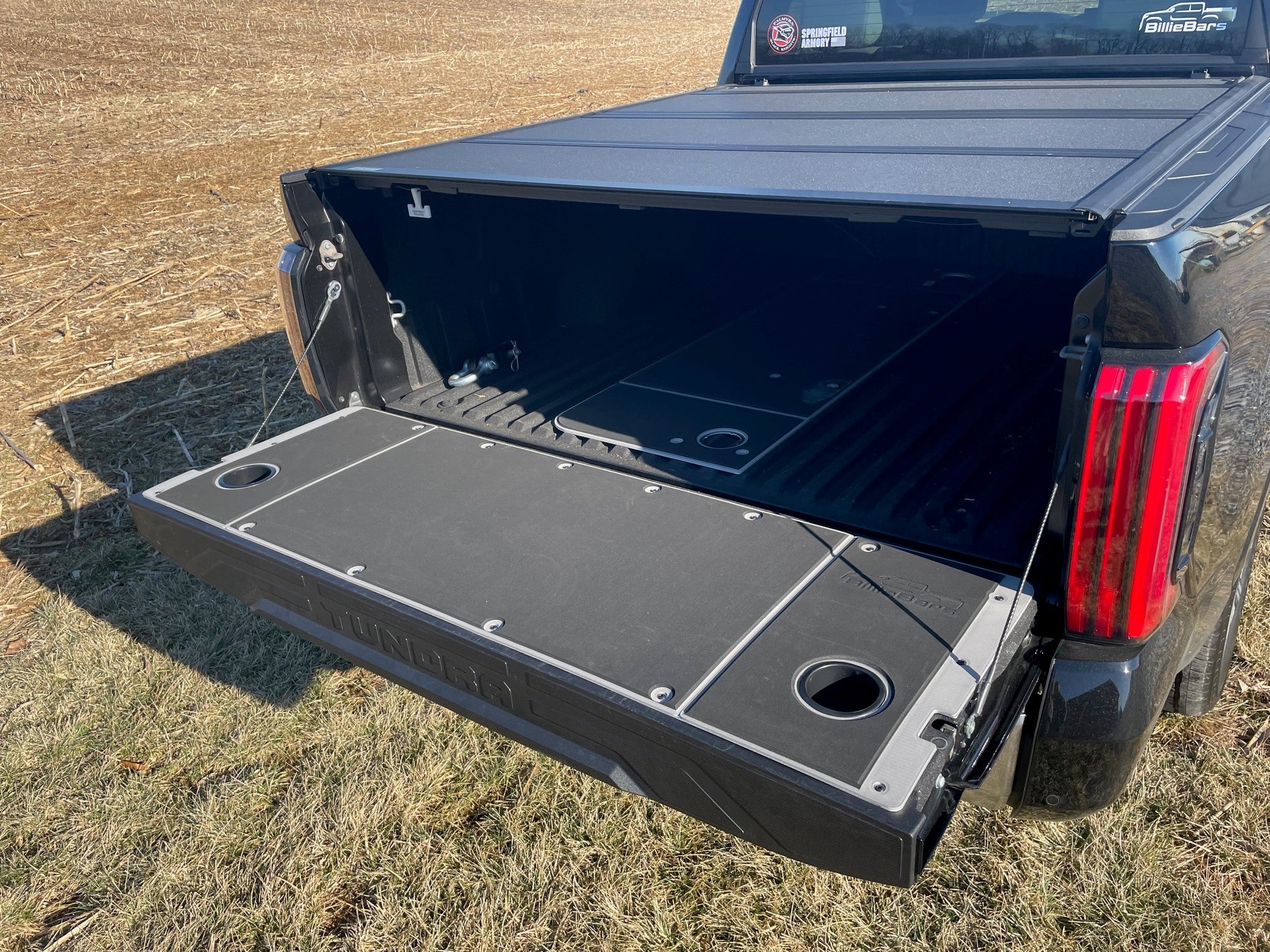 Tundra tailgate cover