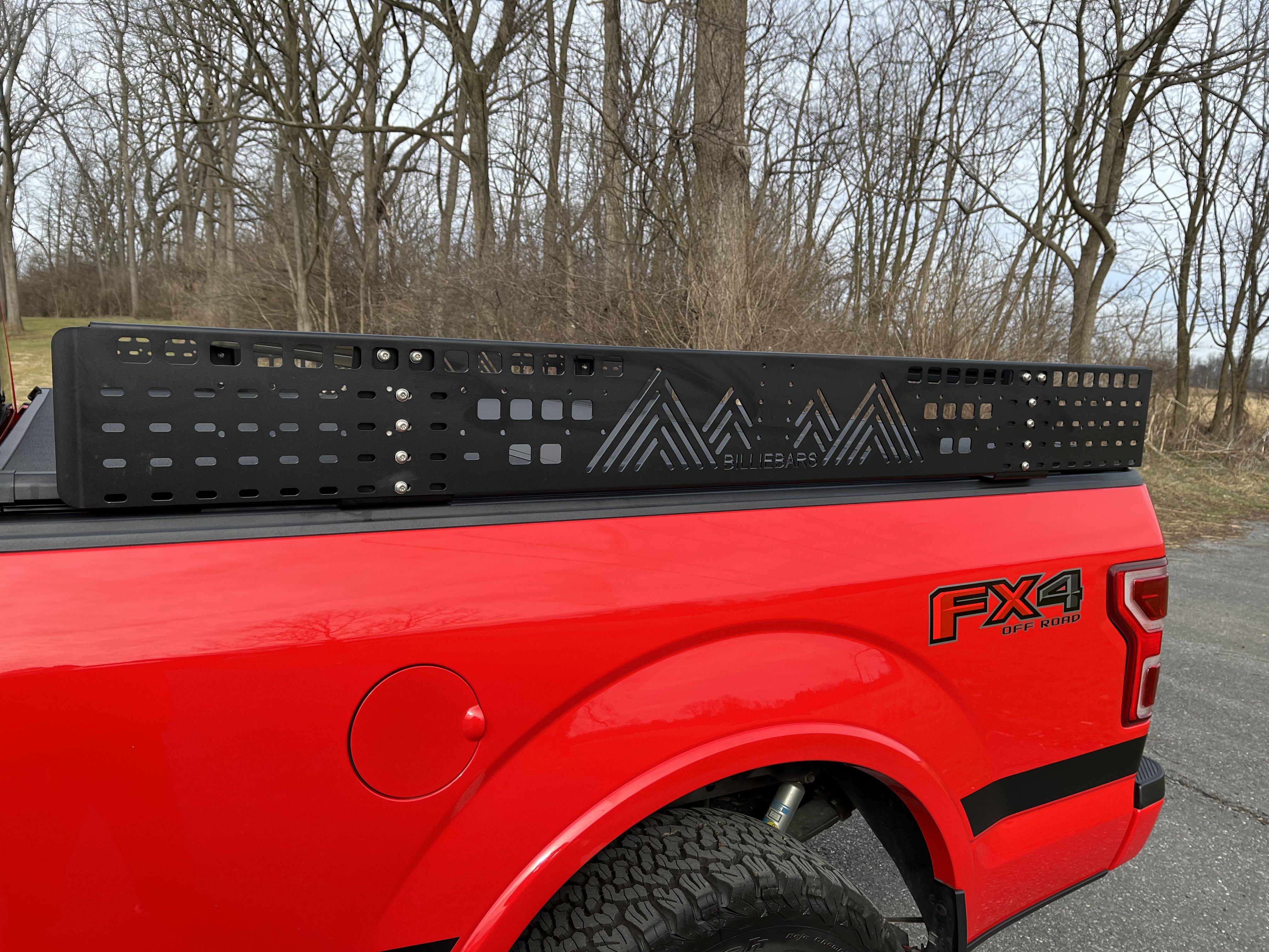 Molle Panel