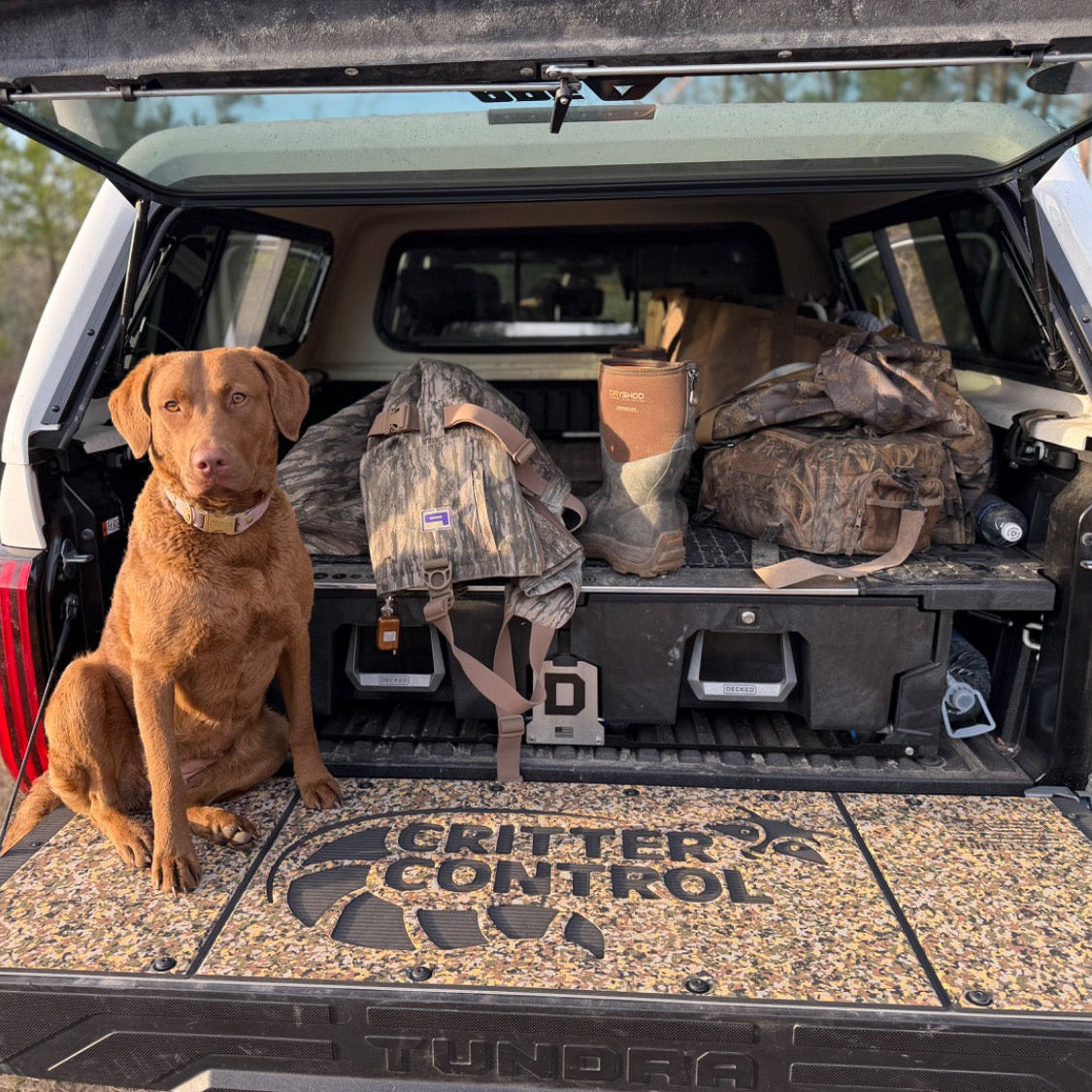 Custom Tailgate Panels for Pick Up Trucks | BillieBars
